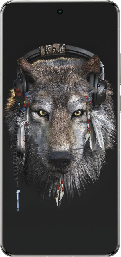 Силіконовий чехол Вовк-меломан для Vivo X200 PRO - 875u-3883 изображение 