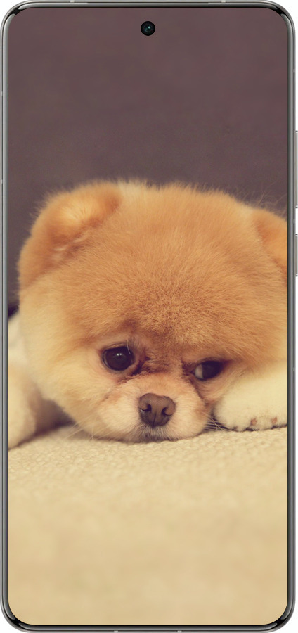 Силиконовый чехол Boo 2 для Vivo X200 PRO - 890u-3883 изображение 