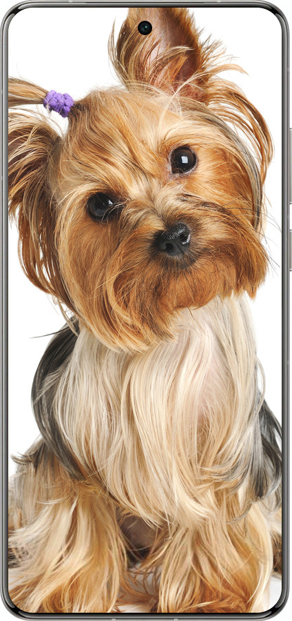 Силіконовий чехол Йоркширський тер'єр із хвостиком для Vivo X200 PRO - 930u-3883 изображение 