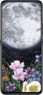 Силиконовый чехол Полночь в саду II для Vivo X27 Pro - 6424u-1772 изображение 