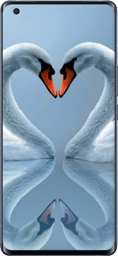 TPU чехол Лебеді для Vivo X50 Pro Plus - 6007b-2056 изображение 