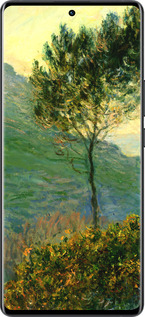 Силиконовый чехол Клод Моне для Vivo X80 Pro - 1193u-2630 изображение 