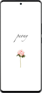 Силиконовый чехол Пион для Vivo X80 Pro - 4366u-2630 изображение 