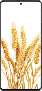 Силіконовий чехол Колоски пшениці для Vivo X80 Pro - 5866u-2630 изображение 