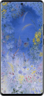 Силиконовый чехол Билокур для Vivo X80 Pro - 5908u-2630 изображение 