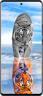 Силиконовый чехол Тигр для Vivo X80 Pro - 6016u-2630 изображение 