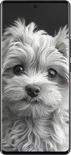 Силиконовый чехол Мальтипу на чорном фоне для Vivo X80 Pro - 6156u-2630 изображение 