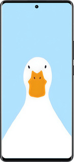 Силиконовый чехол Гусь для Vivo X80 Pro - 6350u-2630 изображение 