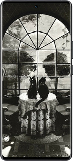 Силіконовий чехол Череп та коти для Vivo X80 Pro - 6432u-2630 изображение 