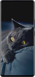 Силиконовый чехол Дымчатый кот для Vivo X80 Pro - 825u-2630 изображение 