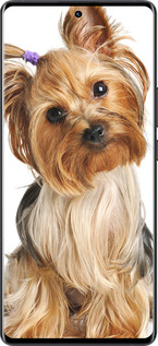 Силіконовий чехол Йоркширський тер'єр із хвостиком для Vivo X80 Pro - 930u-2630 изображение 