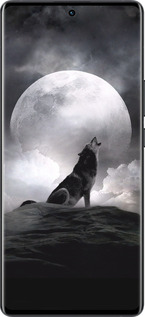 Силиконовый чехол Воющий волк для Vivo X80 Pro - 934u-2630 изображение 