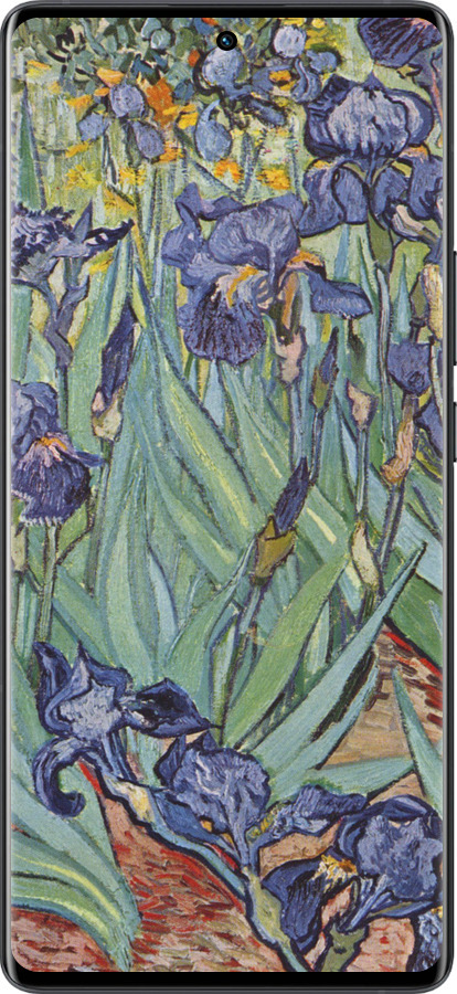 Силиконовый чехол Винсент Ван Гог. Ирисы для Vivo X80 Pro - 161u-2630 изображение 