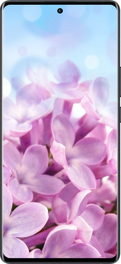 Силиконовый чехол Сирень для Vivo X80 Pro - 527u-2630 изображение 