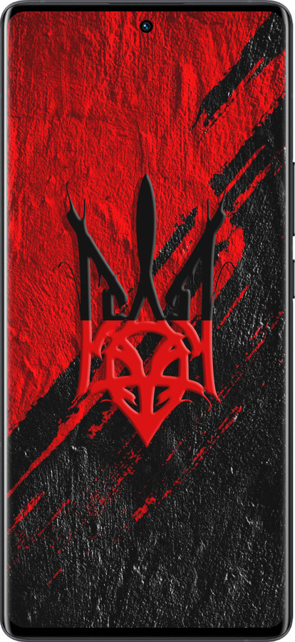 Силиконовый чехол Герб v4 для Vivo X80 Pro - 5293u-2630 изображение 