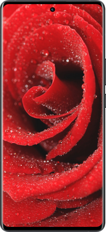 Силиконовый чехол Красная роза для Vivo X80 Pro - 529u-2630 изображение 