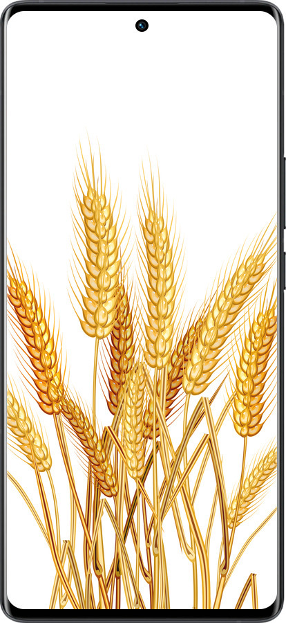 Силіконовий чехол Колоски пшениці для Vivo X80 Pro - 5866u-2630 изображение 