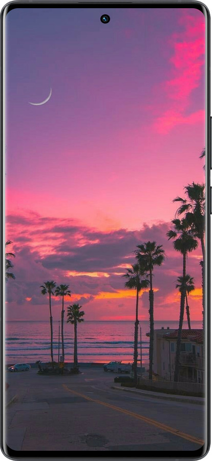 Силиконовый чехол Пальмы для Vivo X80 Pro - 5873u-2630 изображение 