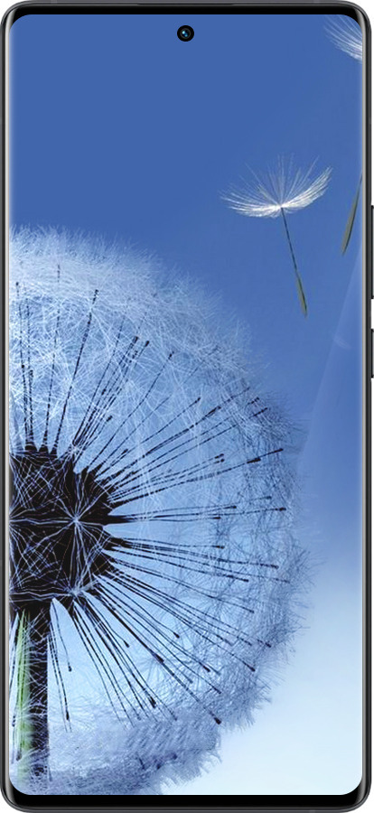 Силиконовый чехол Одуванчик для Vivo X80 Pro - 6005u-2630 изображение 