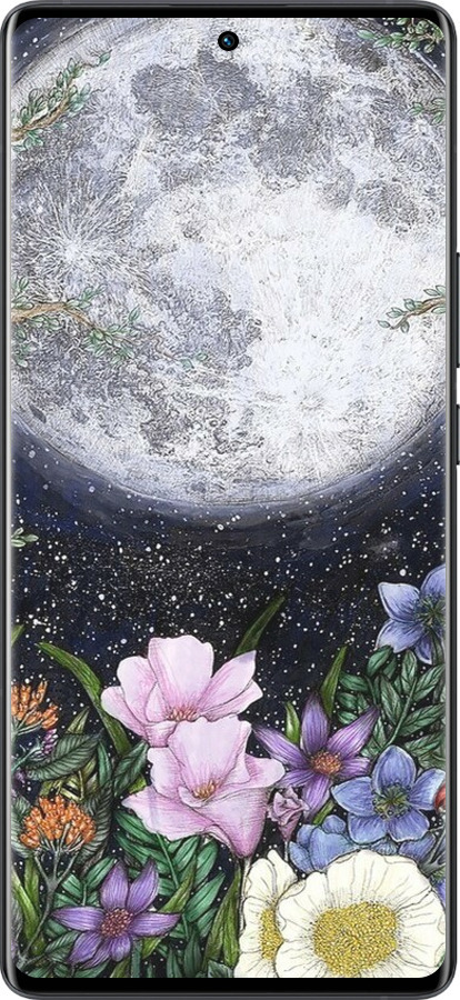 Силиконовый чехол Полночь в саду II для Vivo X80 Pro - 6424u-2630 изображение 