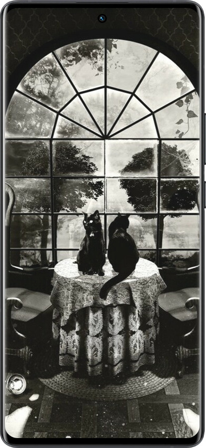 Силіконовий чехол Череп та коти для Vivo X80 Pro - 6432u-2630 изображение 