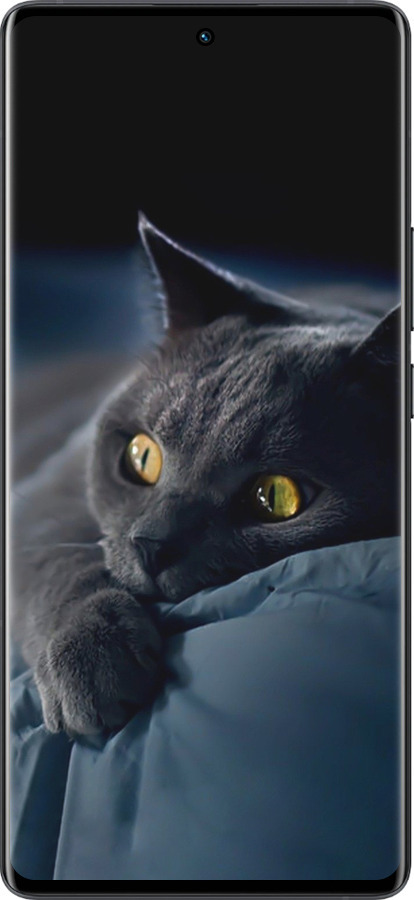 Силиконовый чехол Дымчатый кот для Vivo X80 Pro - 825u-2630 изображение 