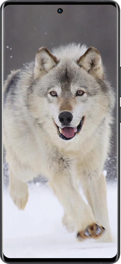 Силиконовый чехол Бегущий волк для Vivo X80 Pro - 826u-2630 изображение 