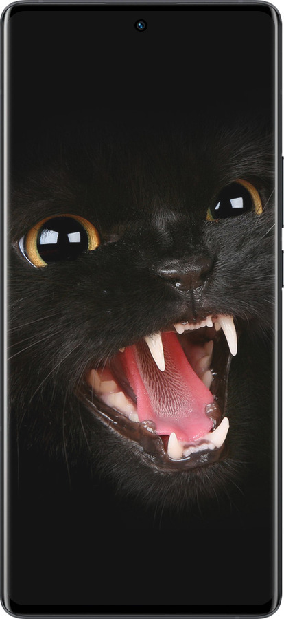 Силиконовый чехол Чёрная кошка для Vivo X80 Pro - 932u-2630 изображение 