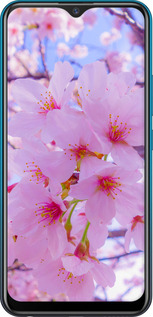 2D пластиковый чехол Сакура для Vivo Y11 - 6029t-629 изображение 