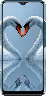 3D пластиковый матовый чехол Лебеди для Vivo Y15 - 6007m-1791 изображение 