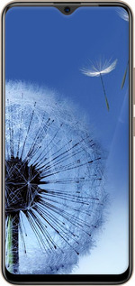 TPU чехол Кульбабка для Vivo Y19 - 6005b-630 изображение 