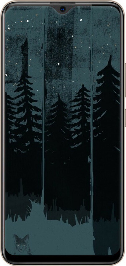 Силіконовий чехол Лисиця та нічний ліс для Vivo Y19 - 6481u-630 изображение 