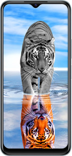 TPU чехол Тигр для Vivo Y21 - 6016b-669 изображение 