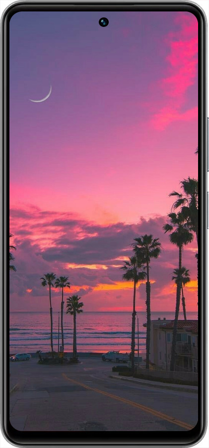 Силіконовий чехол Пальми для Vivo Y36 4G - 5873u-3418 изображение 