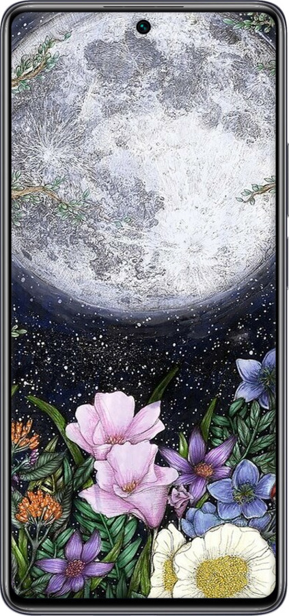 Силиконовый чехол Полночь в саду II для Xiaomi 11T Pro - 6424u-2552 изображение 