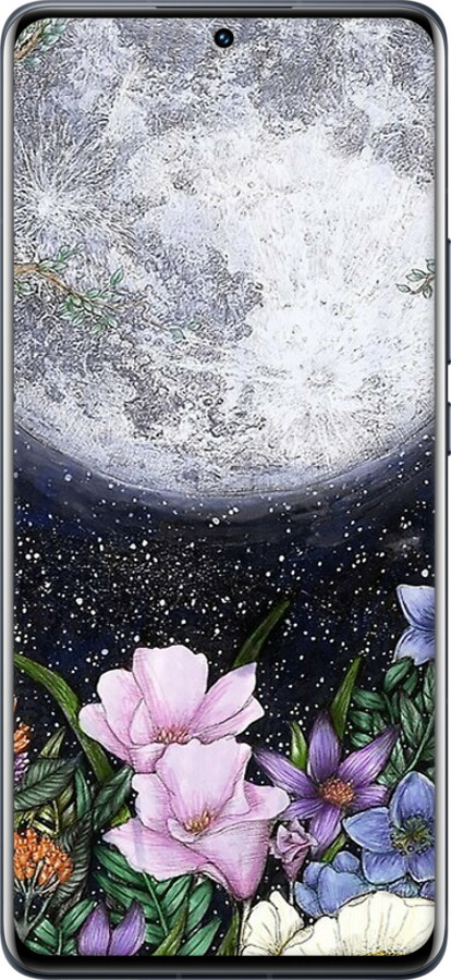 Силиконовый чехол Полночь в саду для Xiaomi 12 Pro - 6259u-2560 изображение 