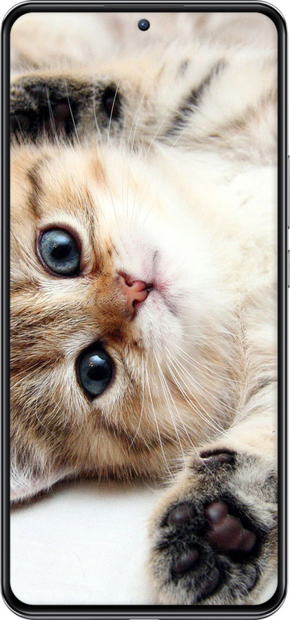 TPU чехол Котик для Xiaomi 12T Pro - 6024b-2869 изображение 