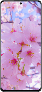 Силіконовий чехол Сакура для Xiaomi 13 Pro - 6029u-2959 изображение 