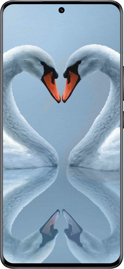 Силіконовий чехол Лебеді для Xiaomi 13 Pro - 6007u-2959 изображение 