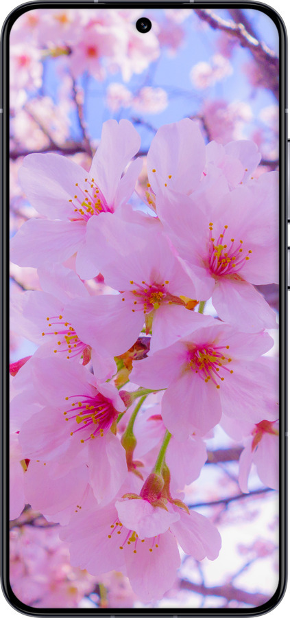 Силіконовий чехол Сакура для Xiaomi 13 - 6029u-2957 изображение 
