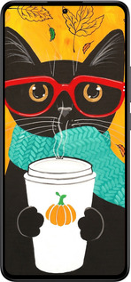 Силиконовый чехол Осенний кот для Xiaomi 13T - 4026u-4142 изображение 