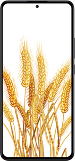 Силиконовый чехол Колоски пшеници для Xiaomi 13T PRO - 5866u-3810 изображение 