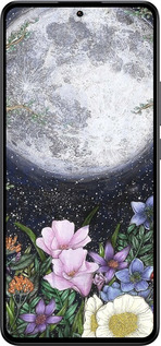 Силиконовый чехол Полночь в саду II для Xiaomi Redmi K60 Ultra - 6424u-4143 изображение 