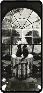 Силиконовый чехол Череп и коты для Xiaomi 13T - 6432u-4142 изображение 