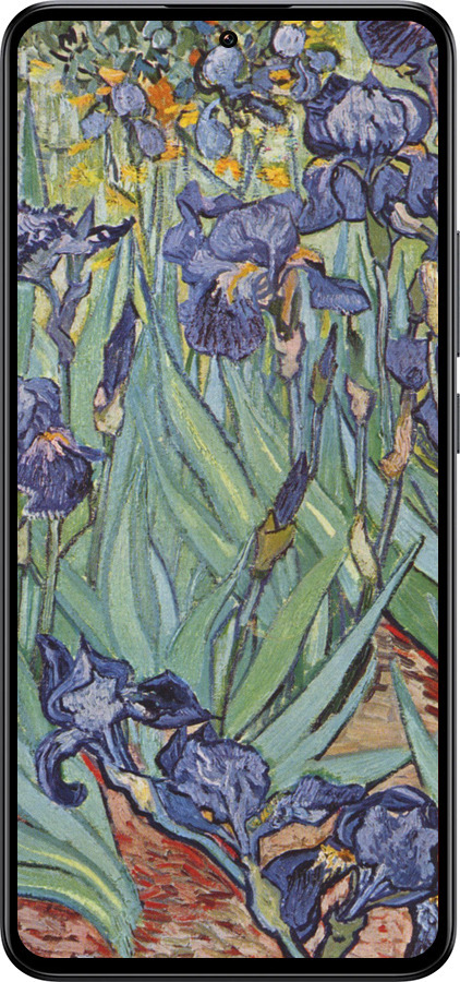Силиконовый чехол Винсент Ван Гог. Ирисы для Xiaomi Redmi K60 Ultra - 161u-4143 изображение 
