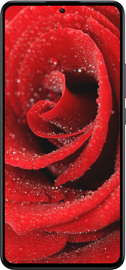 Силиконовый чехол Красная роза для Xiaomi Redmi K60 Ultra - 529u-4143 изображение 