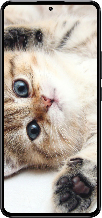 Силиконовый чехол Котик для Xiaomi 13T PRO - 6024u-3810 изображение 