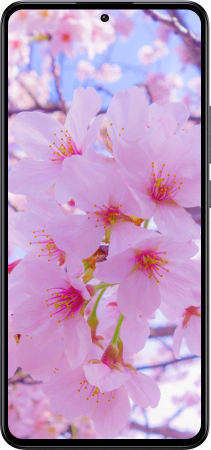 Силиконовый чехол Сакура для Xiaomi 13T PRO - 6029u-3810 изображение 