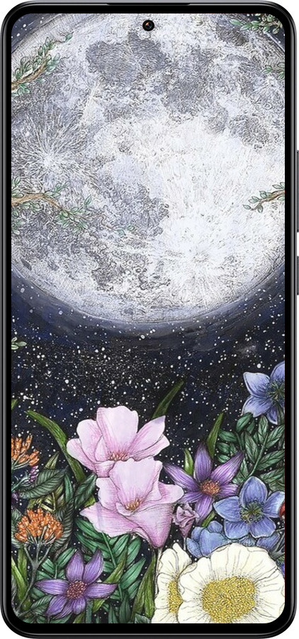 Силиконовый чехол Полночь в саду II для Xiaomi Redmi K60 Ultra - 6424u-4143 изображение 
