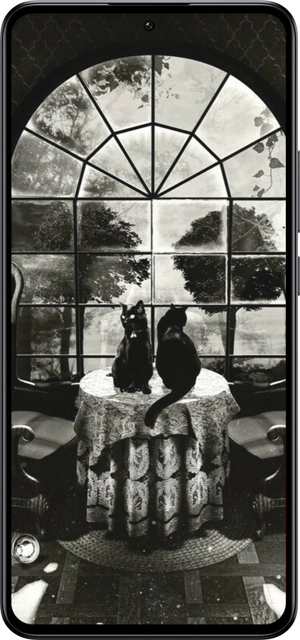 Силиконовый чехол Череп и коты для Xiaomi 13T - 6432u-4142 изображение 